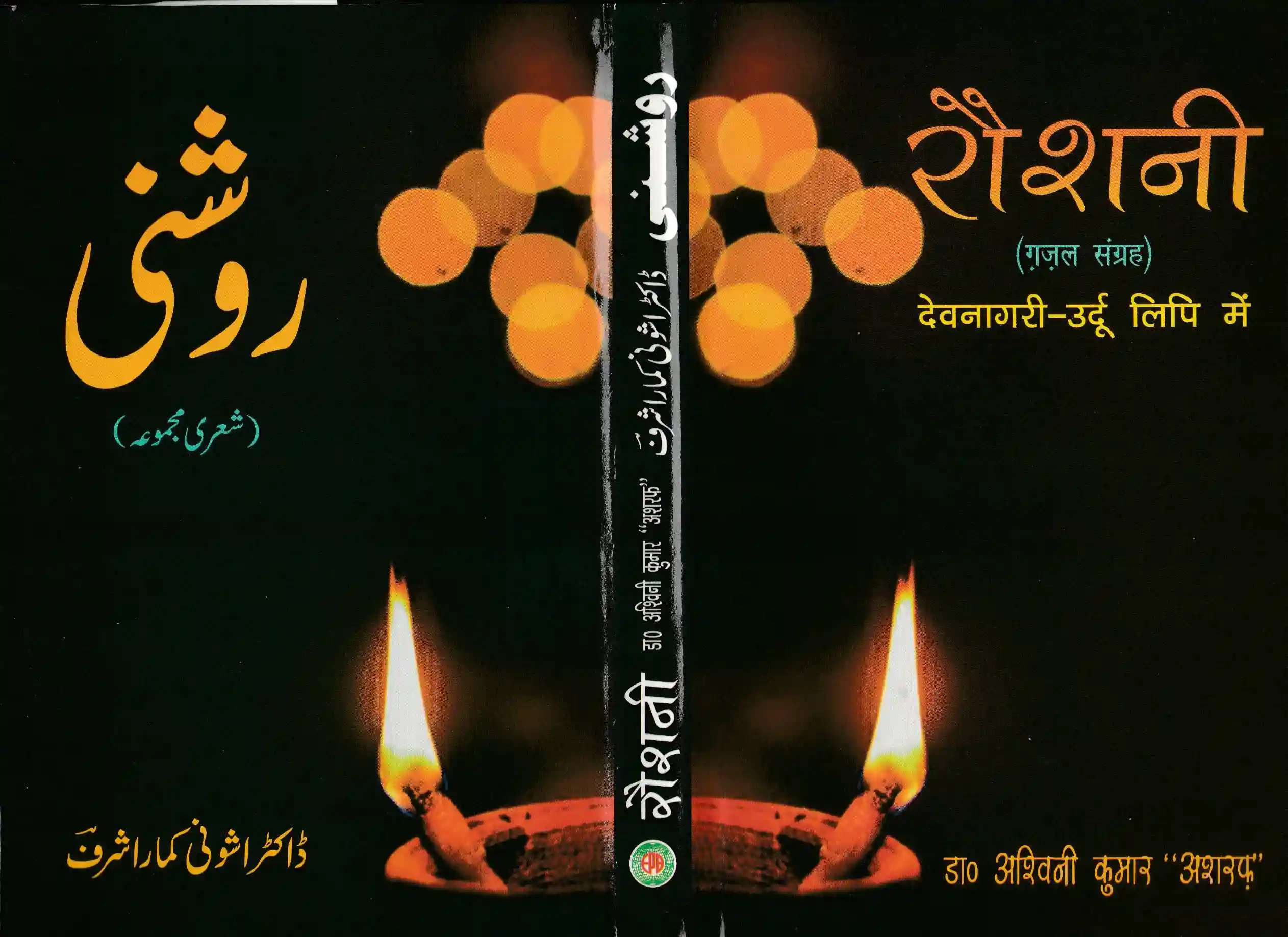 Raushni Hindi Edition